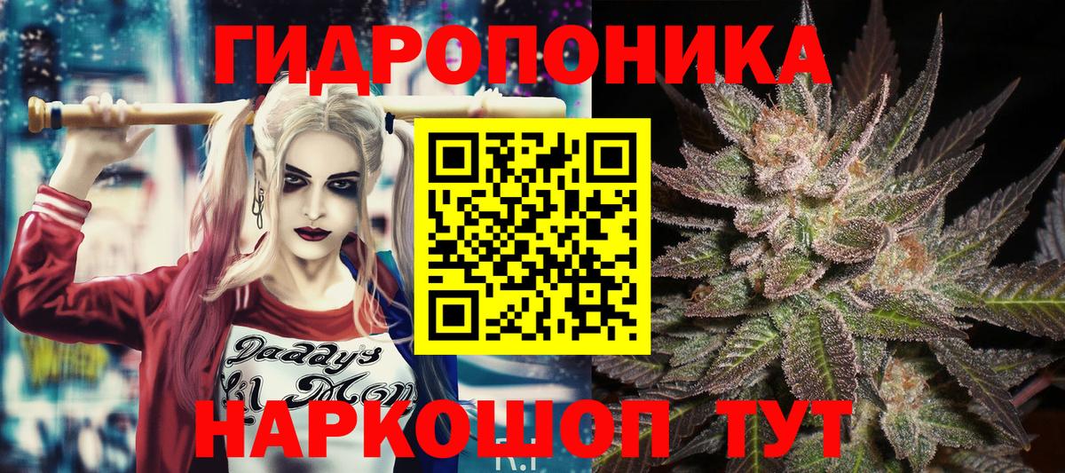 Конопля сатива Реутов